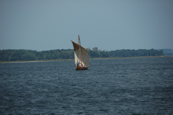 Roskilde Vikingskibs 207