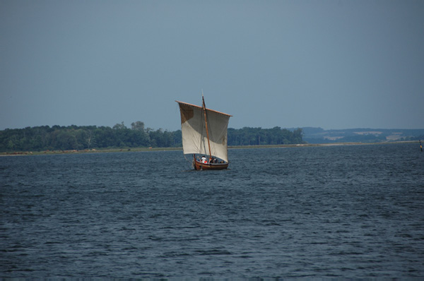 Roskilde Vikingskibs 208