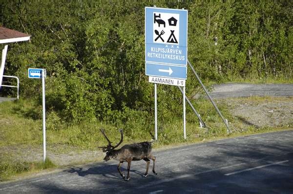 Kilpisjaervi et Troms Norway 036