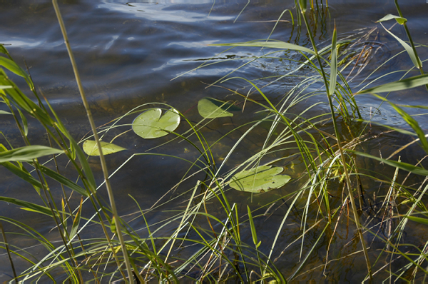 Kuusamo Hultinen 110