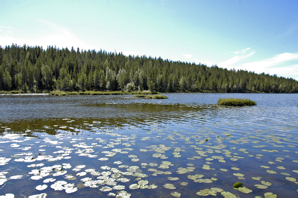 Kuusamo Hultinen 209