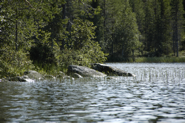 Kuusamo Hultinen 221