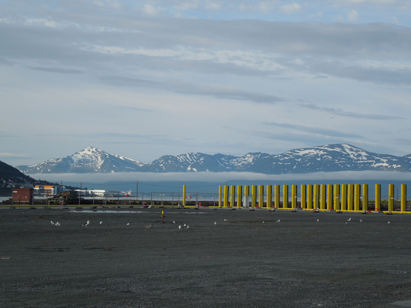 Hurtigruten (102)