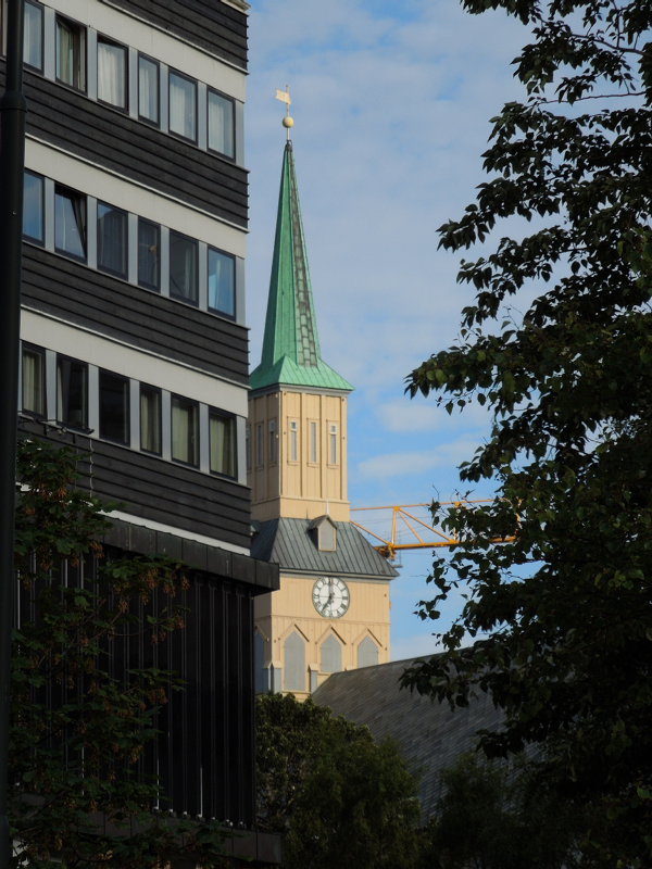 Hurtigruten (103)