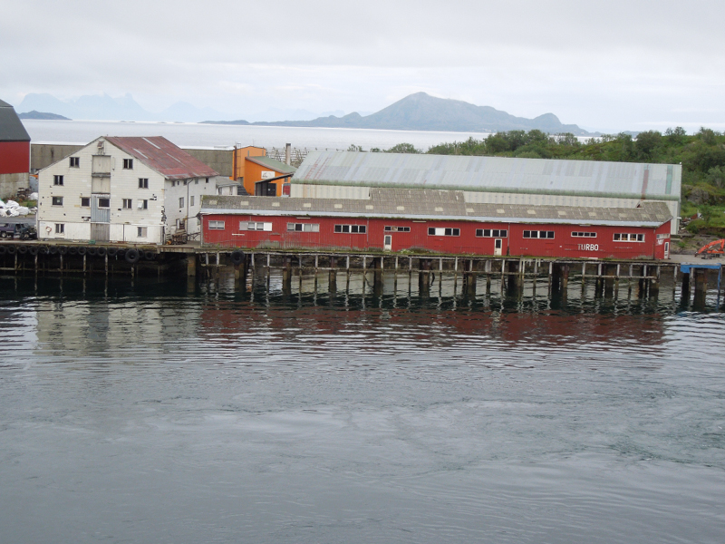 Hurtigruten (23)