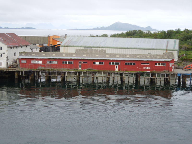 Hurtigruten (24)