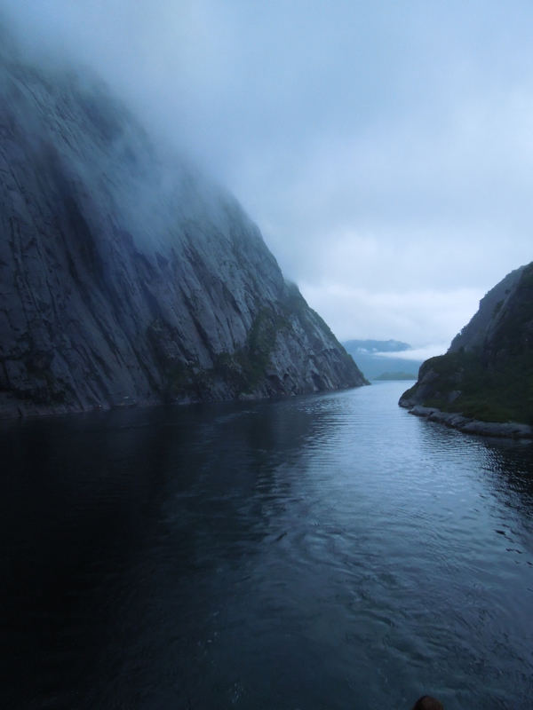 Hurtigruten (41)