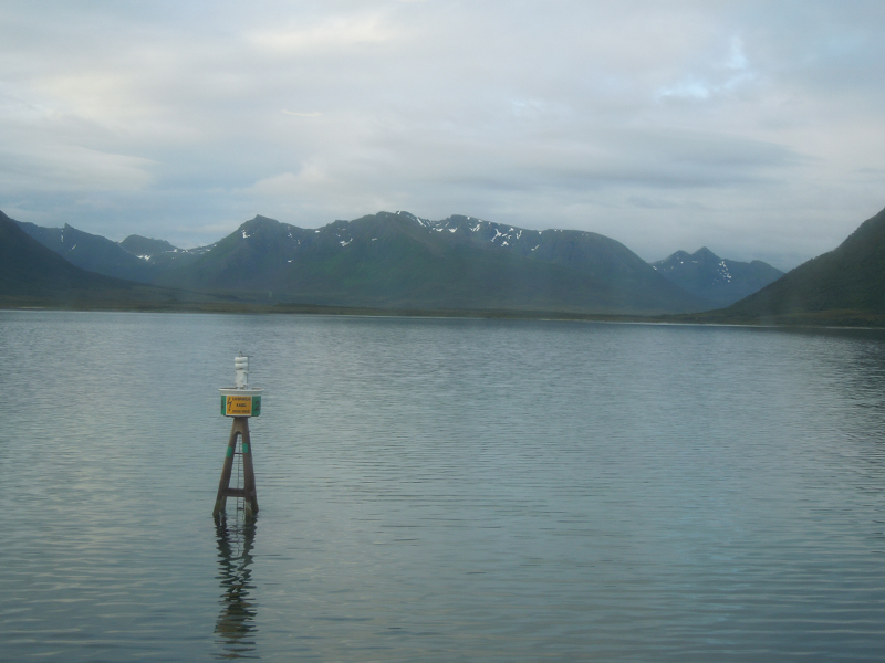 Hurtigruten (50)