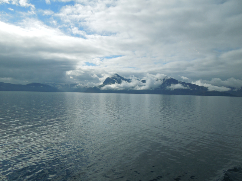 Hurtigruten (58)