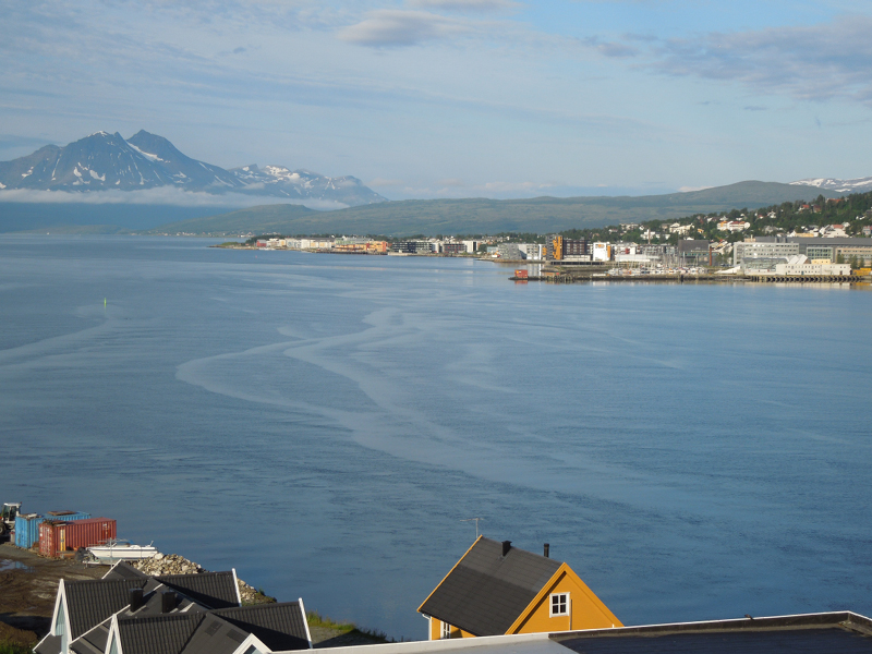 Hurtigruten (76)