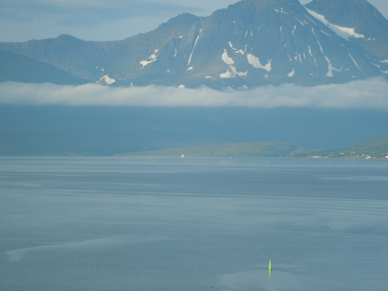 Hurtigruten (77)