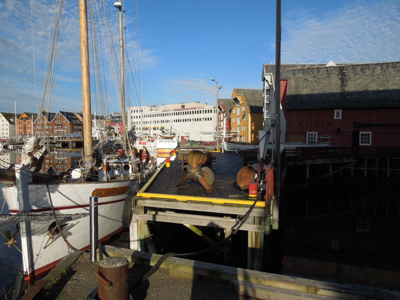 Hurtigruten (91)