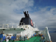 Hurtigruten (63)