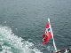 Hurtigruten (64)