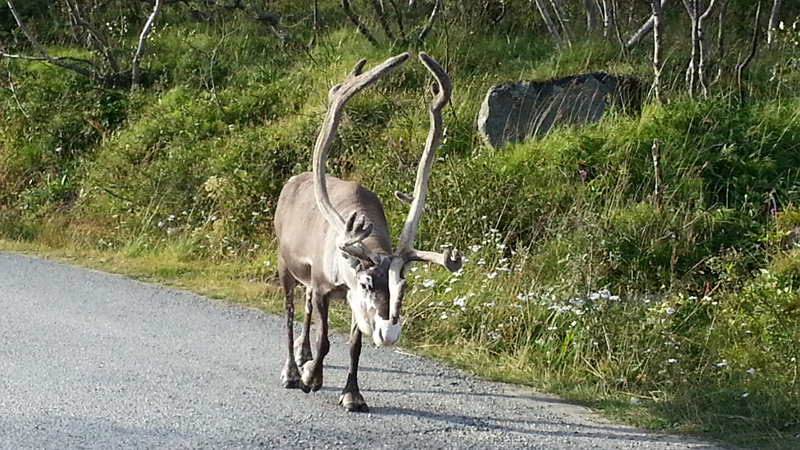 été 2013 964