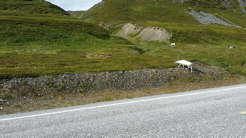 Alta_Nordkapp-064