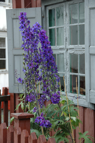 Trondheim Troendelag Folkemuseum 293